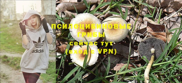 гашиш Алзамай